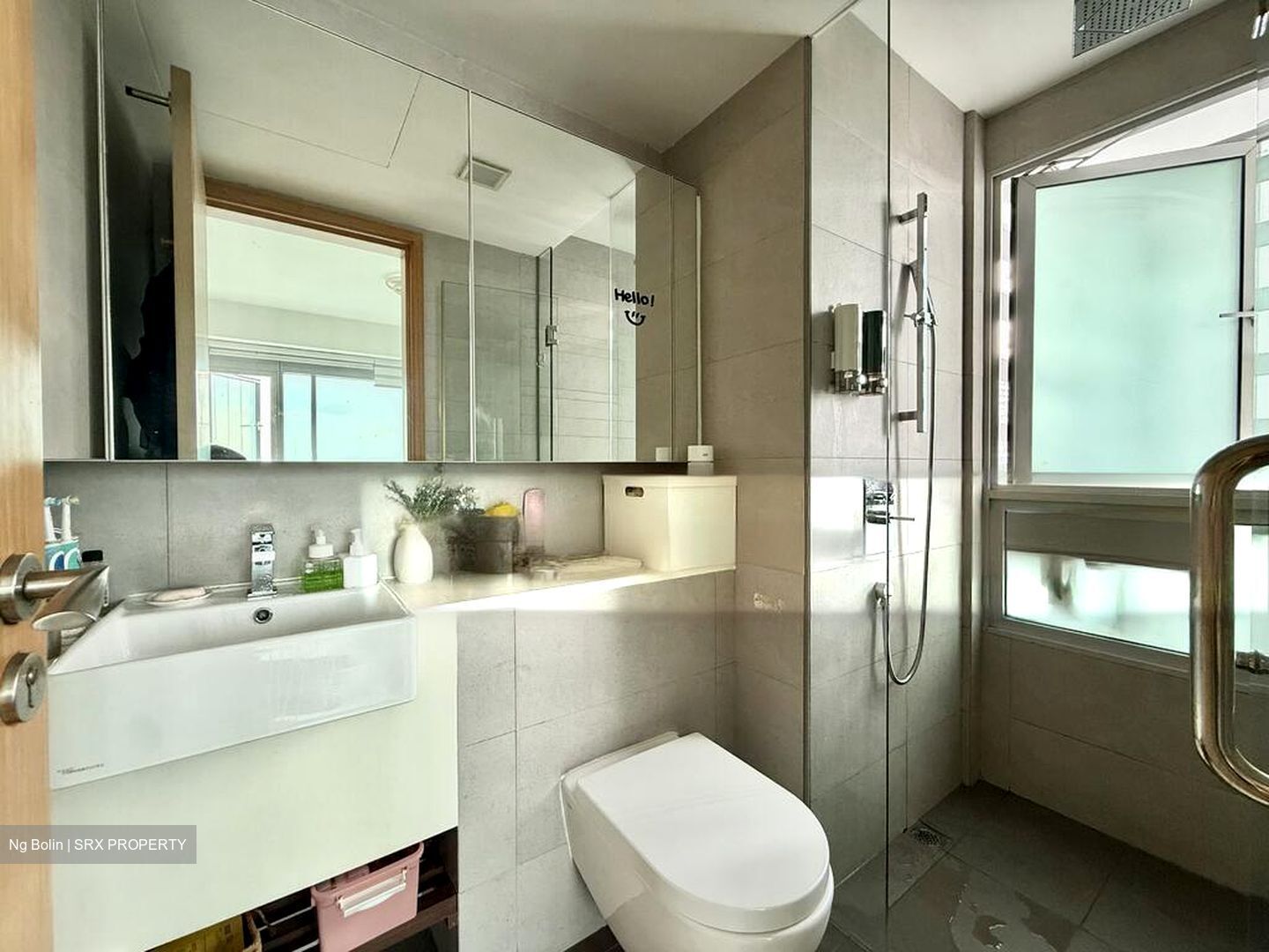 Eight Riversuites (D12), Condominium #502897751